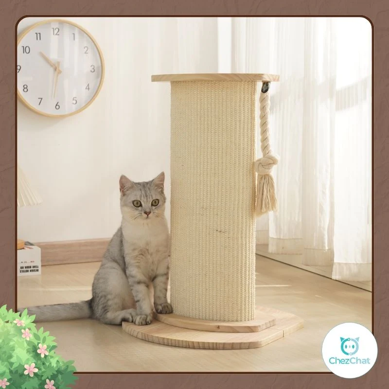 Gray tabby cat beside a Chez Chat scratching post with a wooden base and sisal wrap