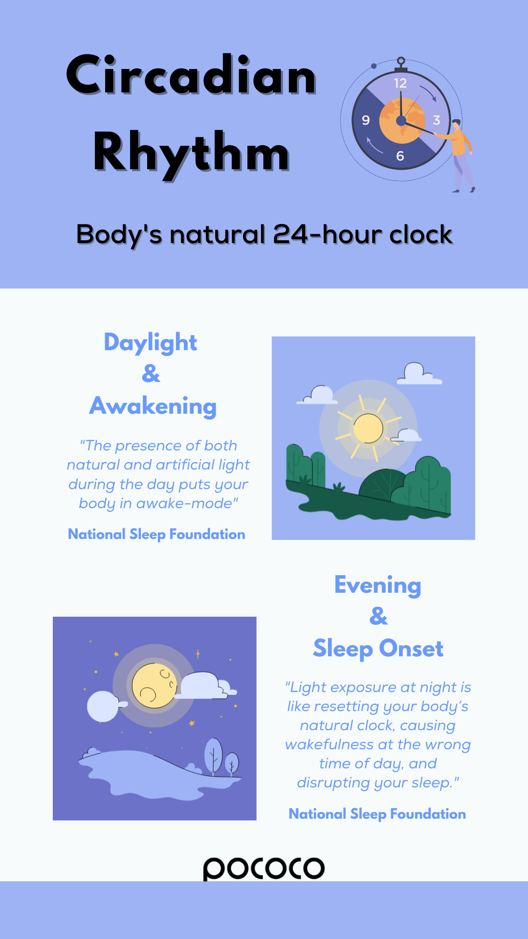 Infographic on circadian rhythm titled "Body